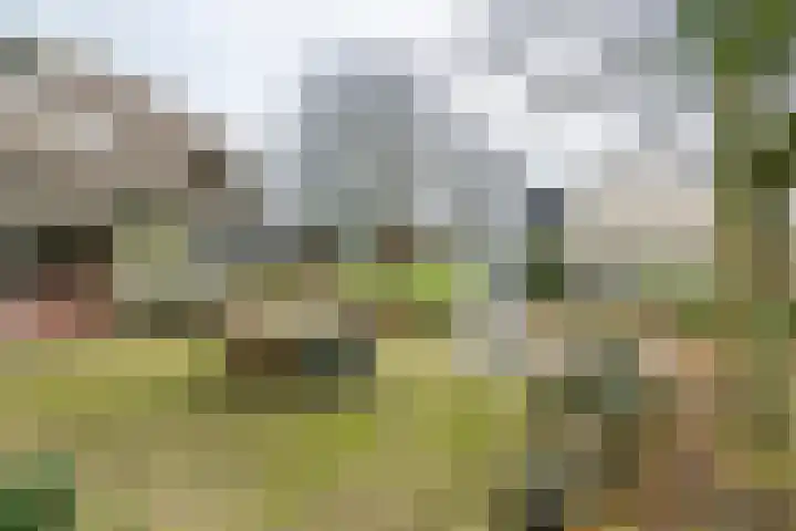Dorpsplein 2 Est thumbnail 15