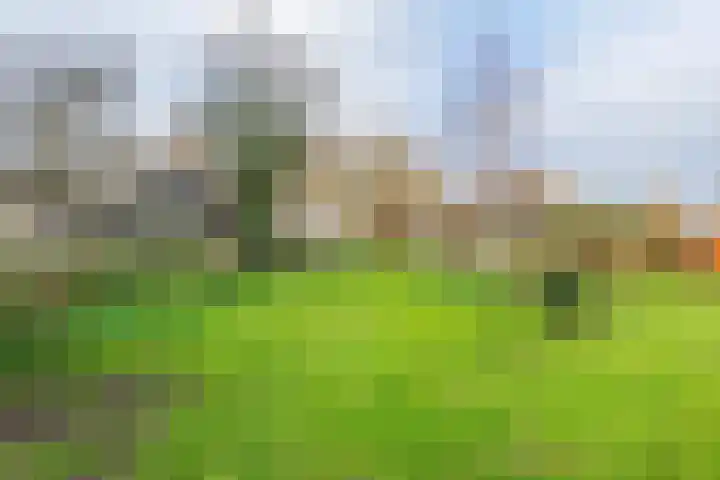 Dorpsplein 2 Est thumbnail 24