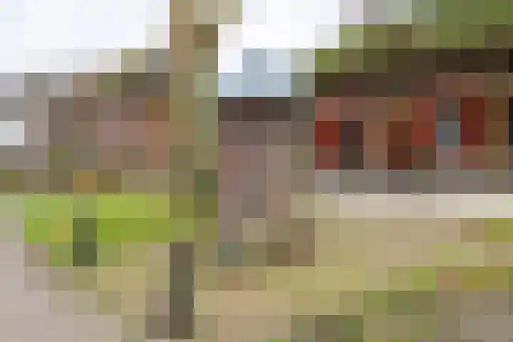 Dorpsplein 2 Est thumbnail 27