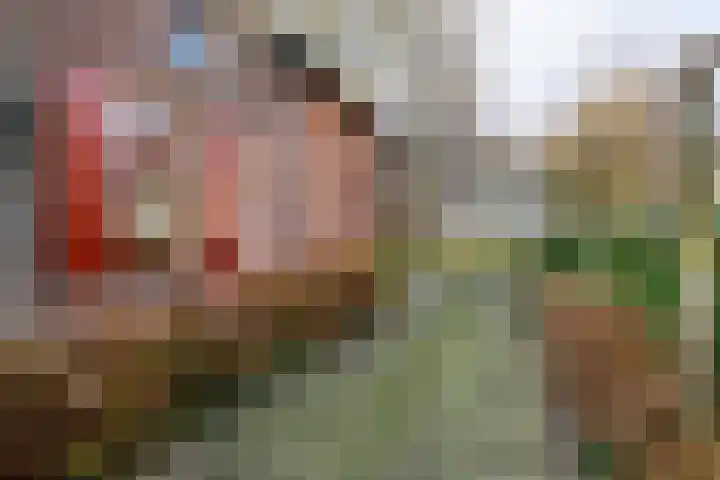 Dorpsplein 2 Est thumbnail 31