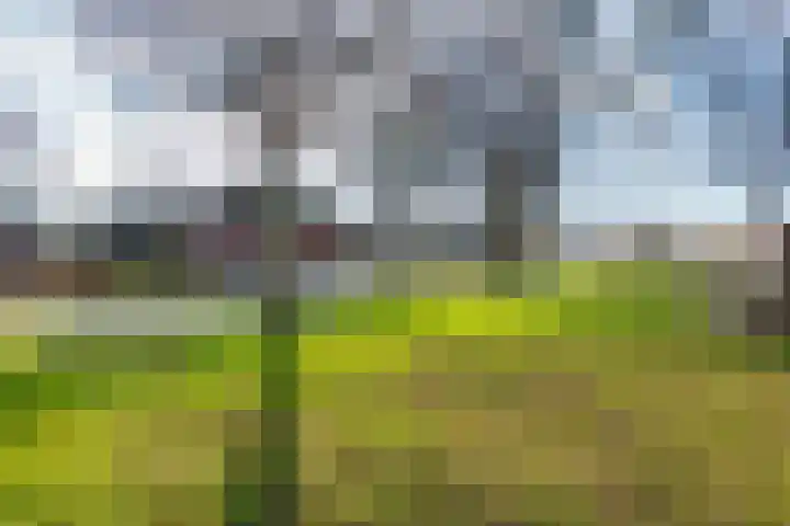 Dorpsplein 2 Est thumbnail 32