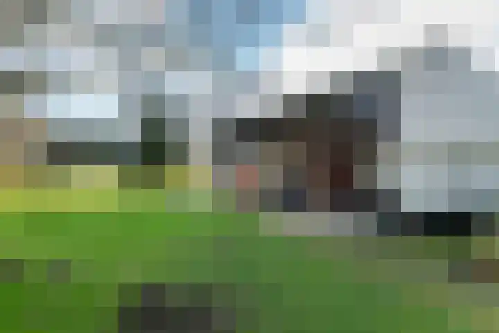 Dorpsplein 2 Est thumbnail 34