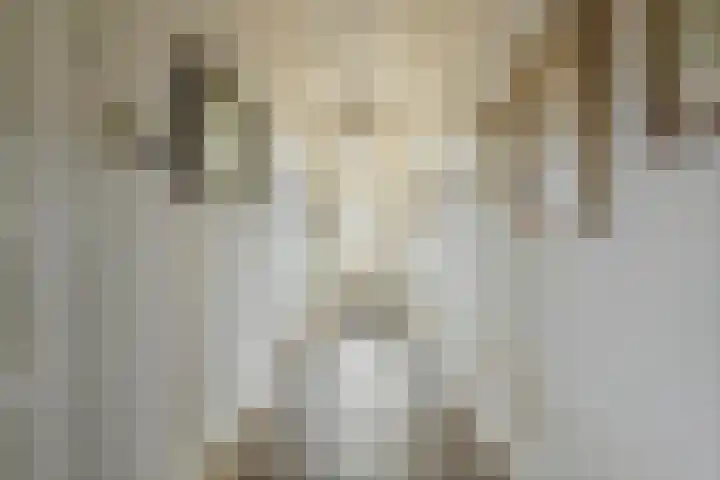 Dorpsplein 2 Est thumbnail 42