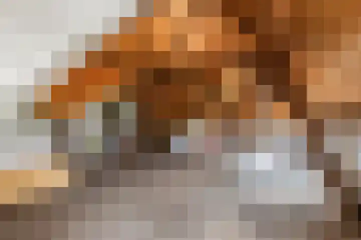 Dorpsplein 2 Est thumbnail 52