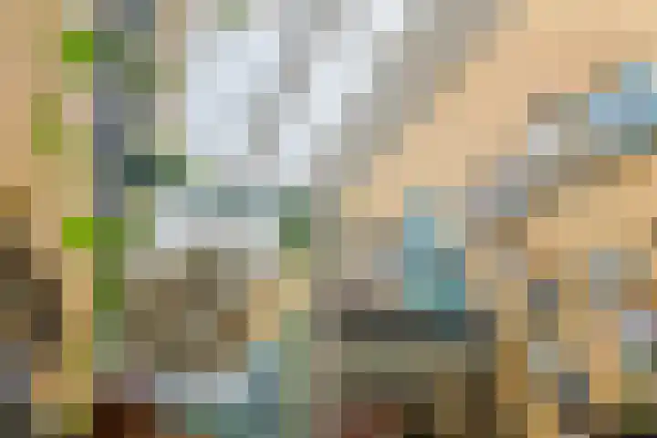 Dorpsplein 2 Est thumbnail 8