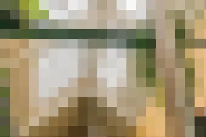 Dorpsplein 2 Est thumbnail 88