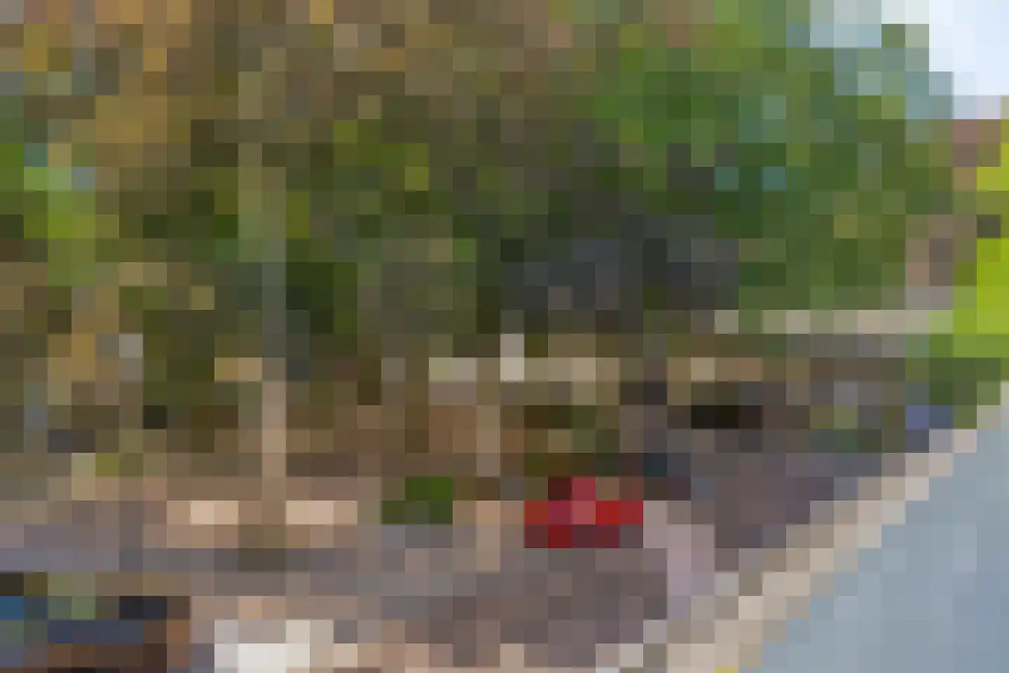 Dorpsplein 2 g Oostvoorne thumbnail 20