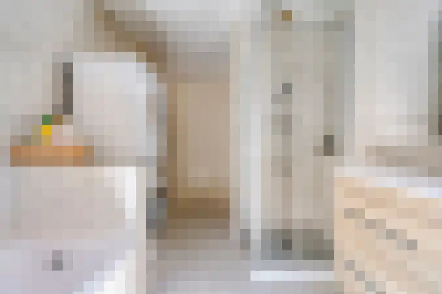 Dorpsplein 2 g Oostvoorne thumbnail 26