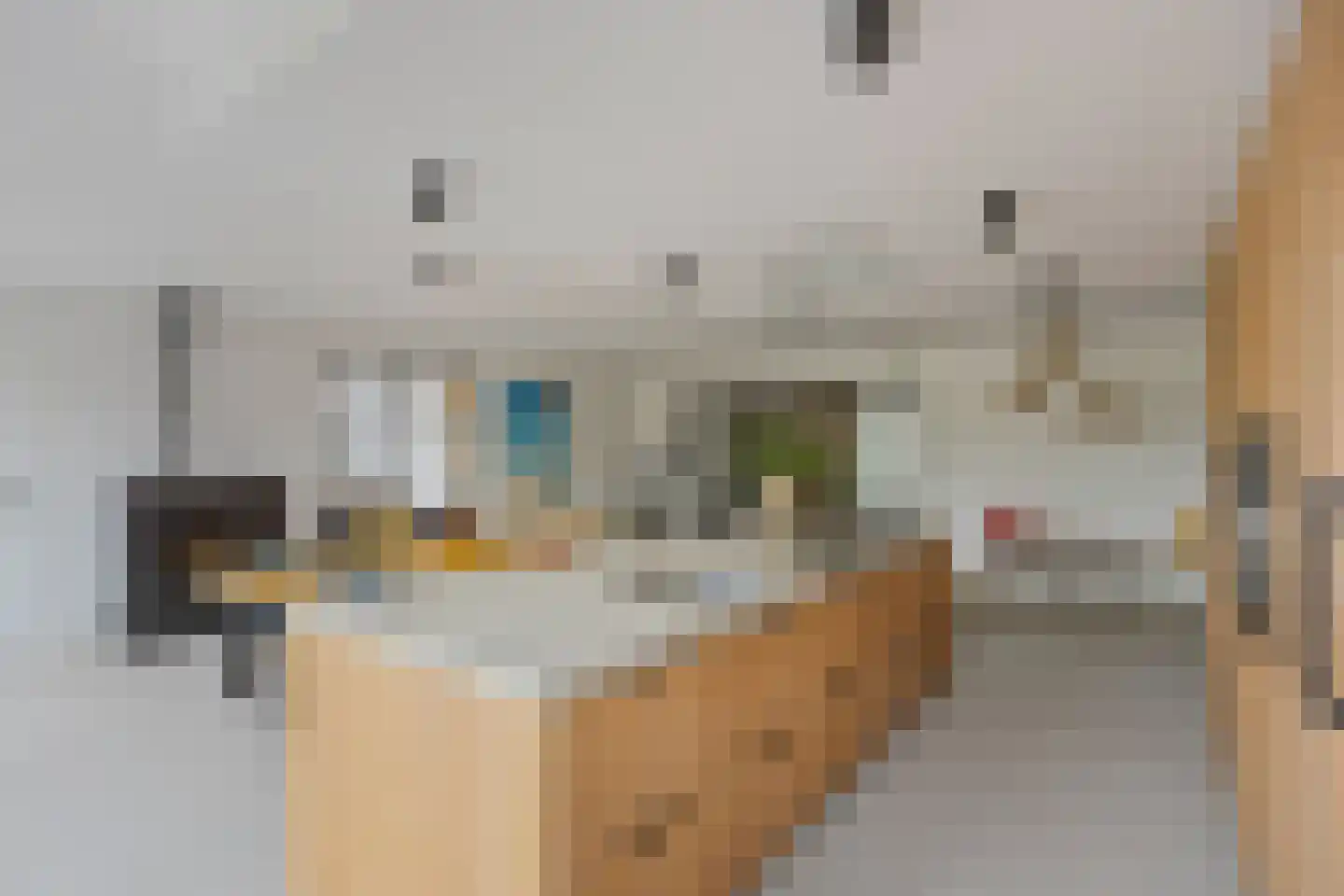 Dorpsplein 2 Zuiddorpe thumbnail 18