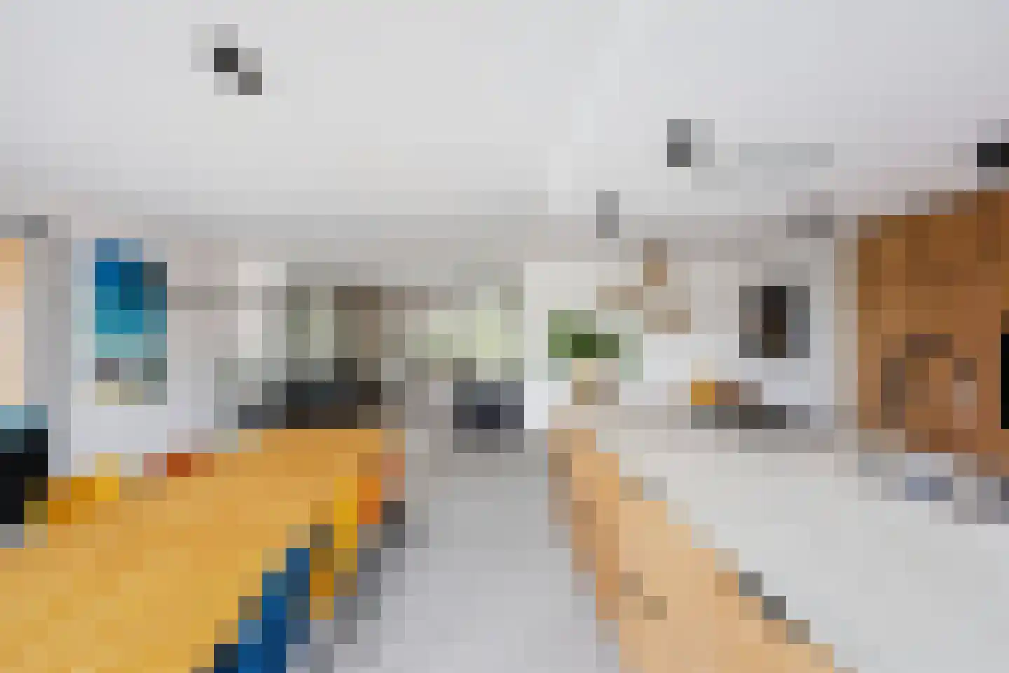 Dorpsplein 2 Zuiddorpe thumbnail 20