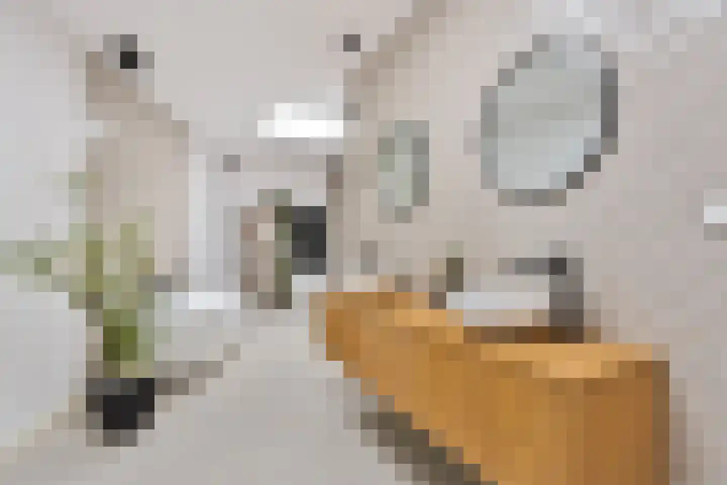 Dorpsplein 2 Zuiddorpe thumbnail 33