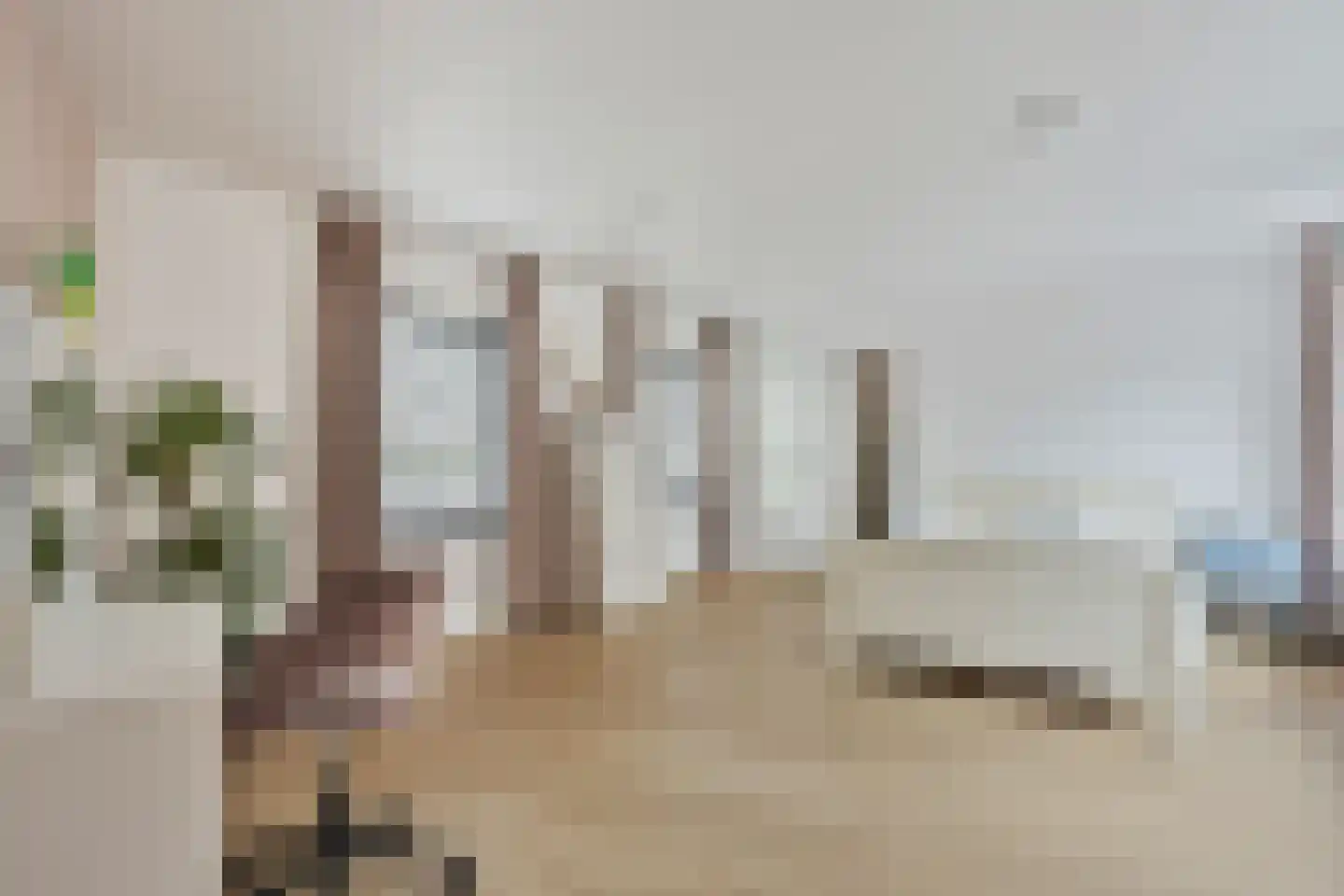Dorpsplein 2 Zuiddorpe thumbnail 42
