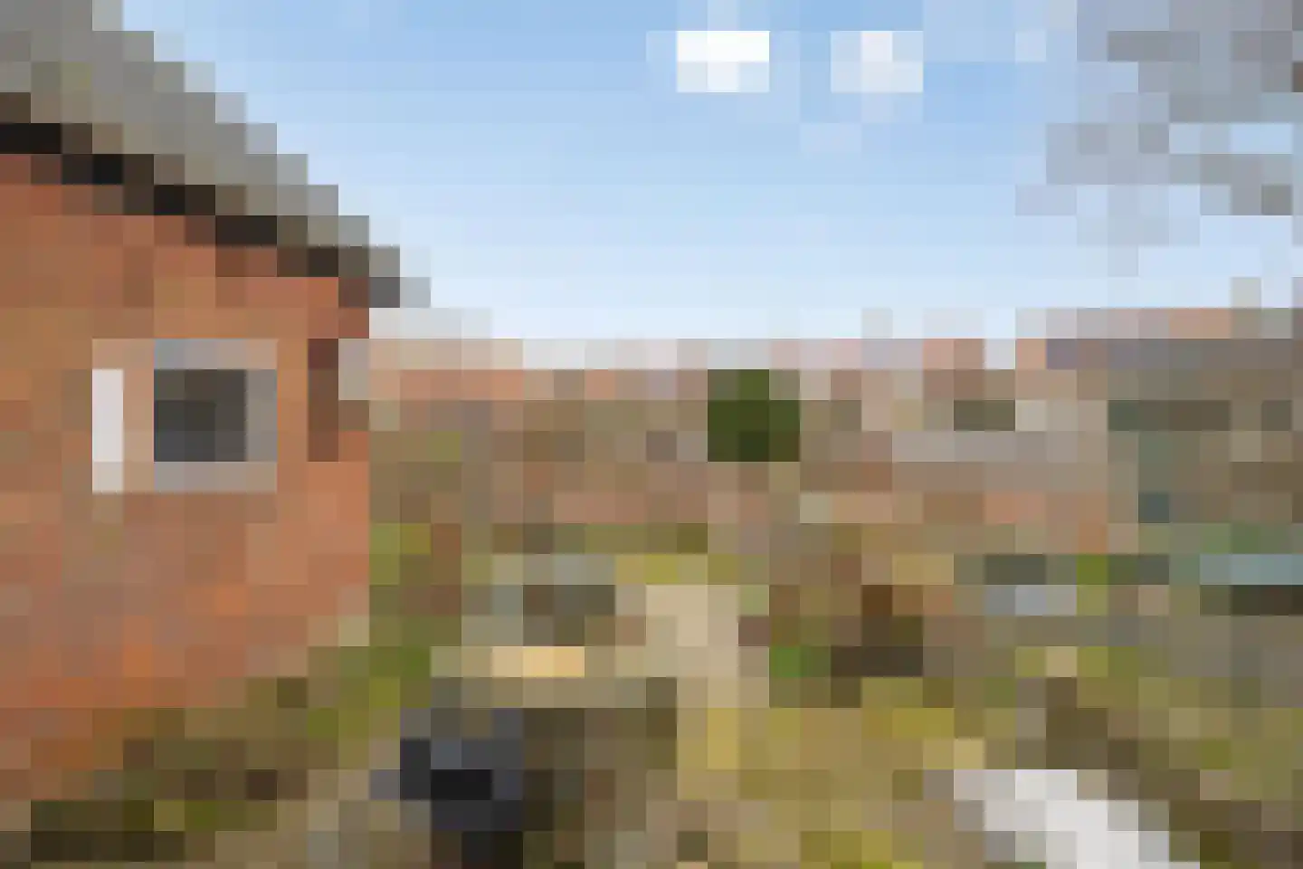 Dorpsplein 21 Koudekerke thumbnail 9
