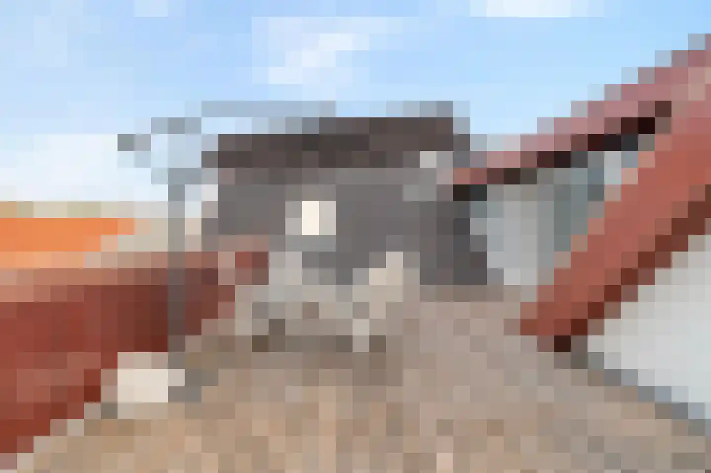 Dorpsplein 22 A Callantsoog thumbnail 25