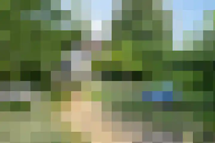Dorpsplein 29 Koudekerke thumbnail 33