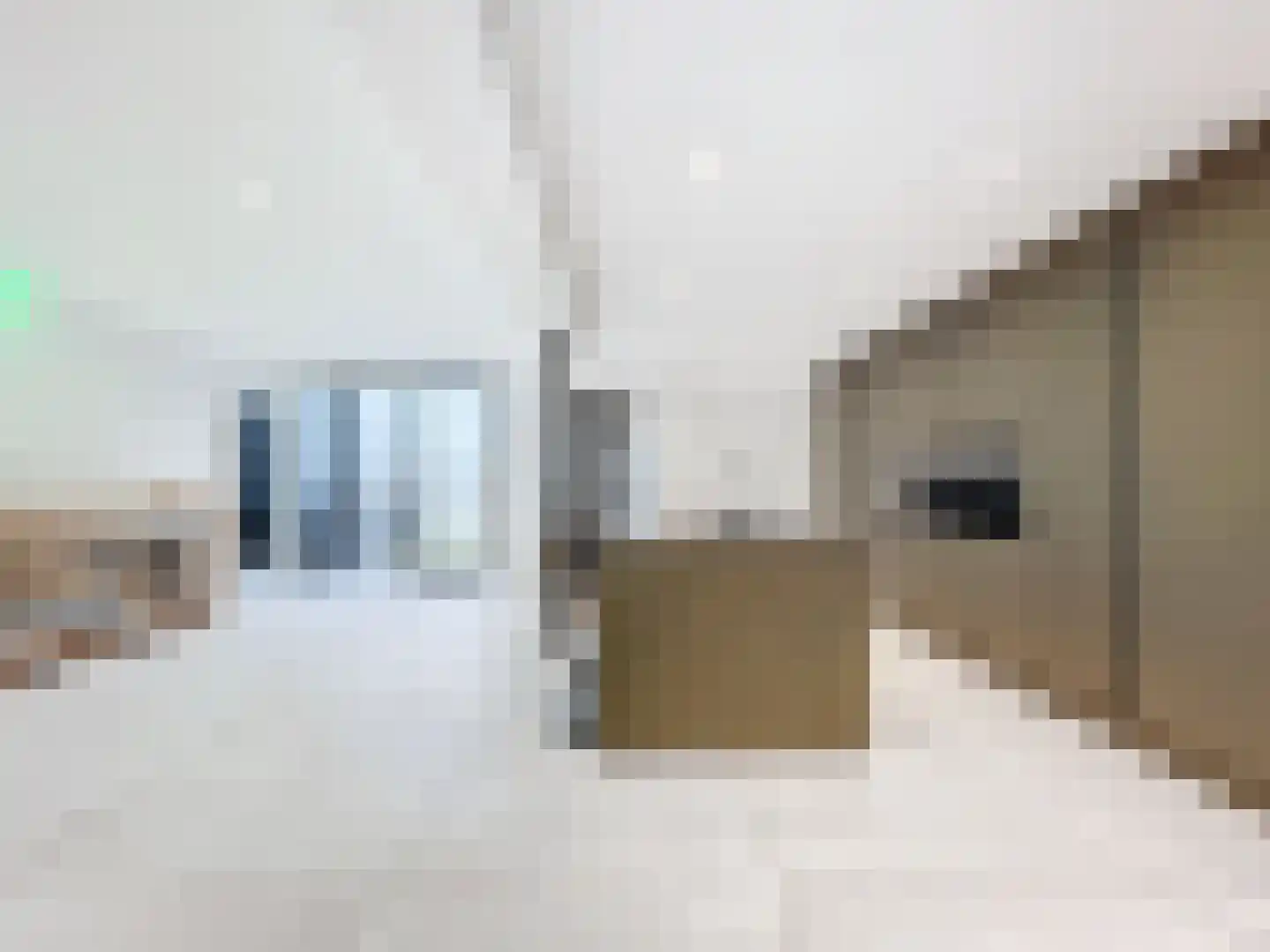 Dorpsplein 29 Schoondijke thumbnail 6