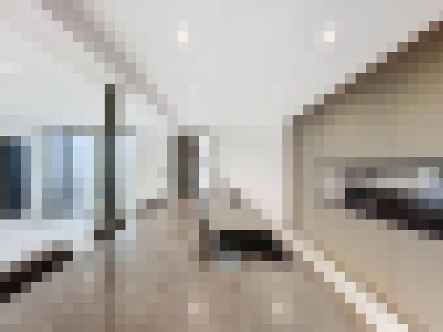 Dorpsplein 29 Schoondijke thumbnail 12