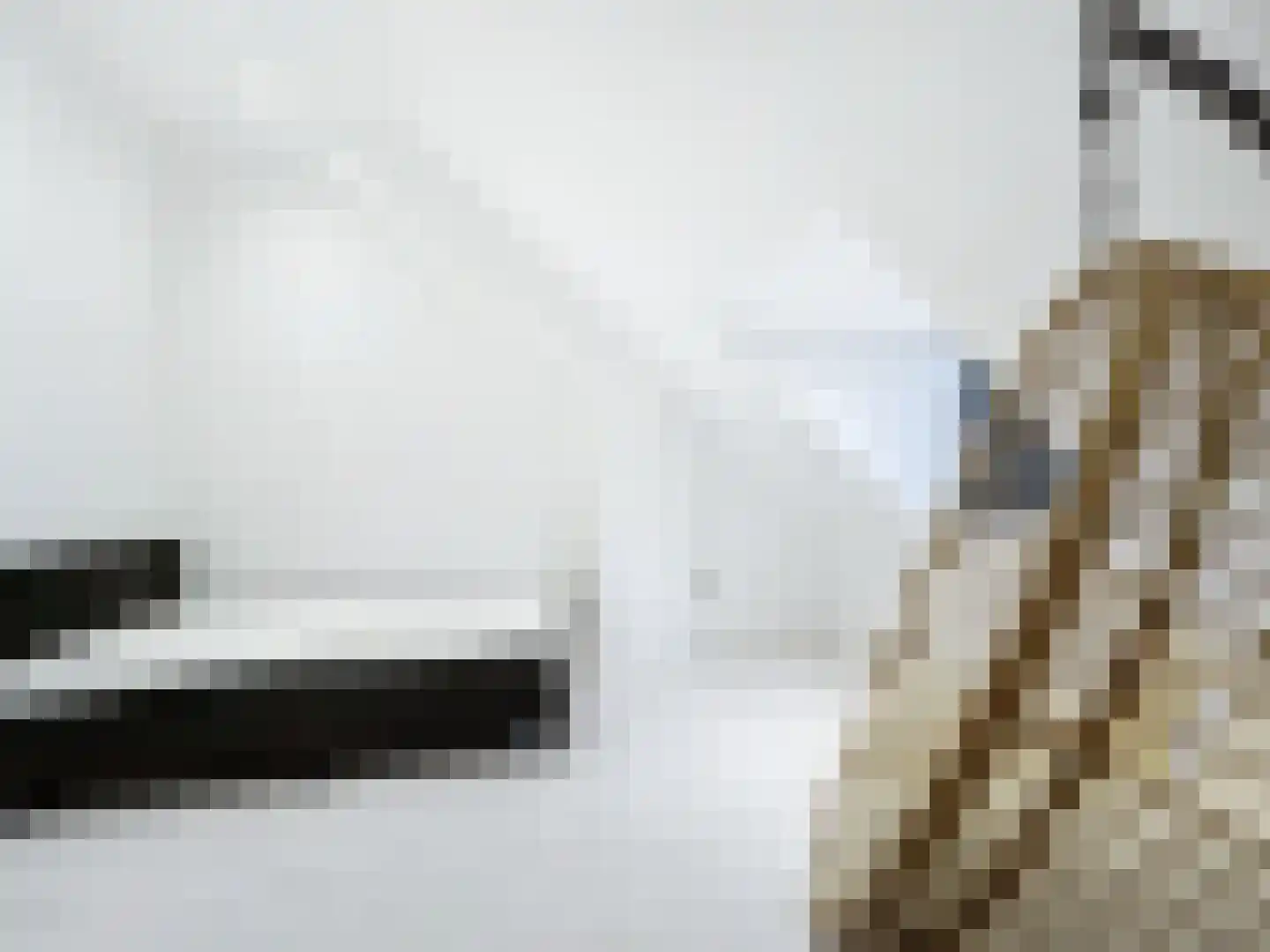 Dorpsplein 29 Schoondijke thumbnail 7