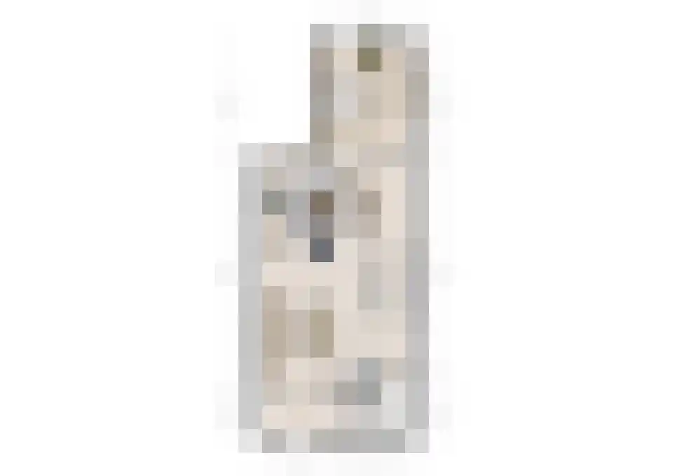 Dorpsplein 29 Schoondijke thumbnail 28