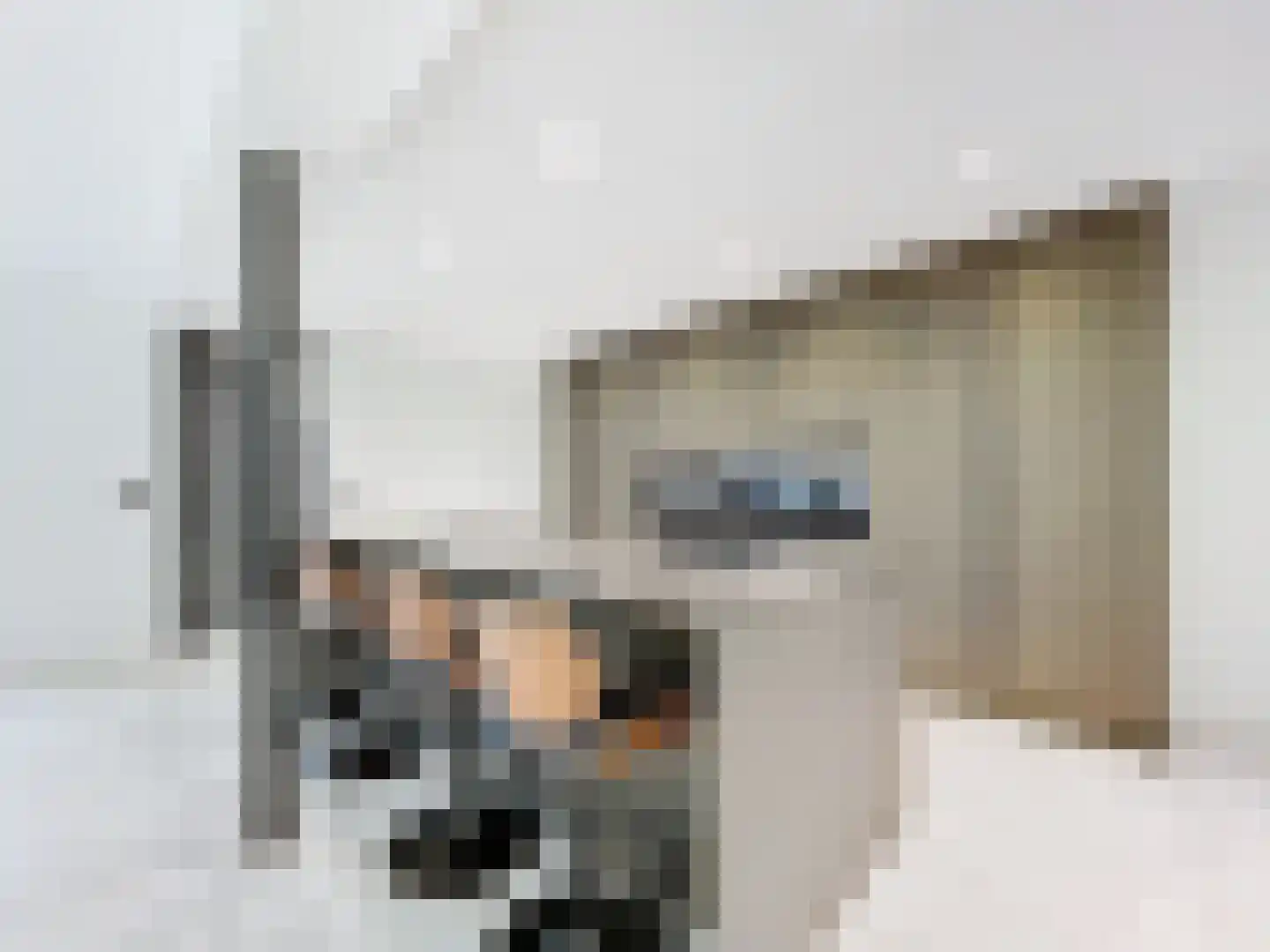 Dorpsplein 29 Schoondijke thumbnail 9