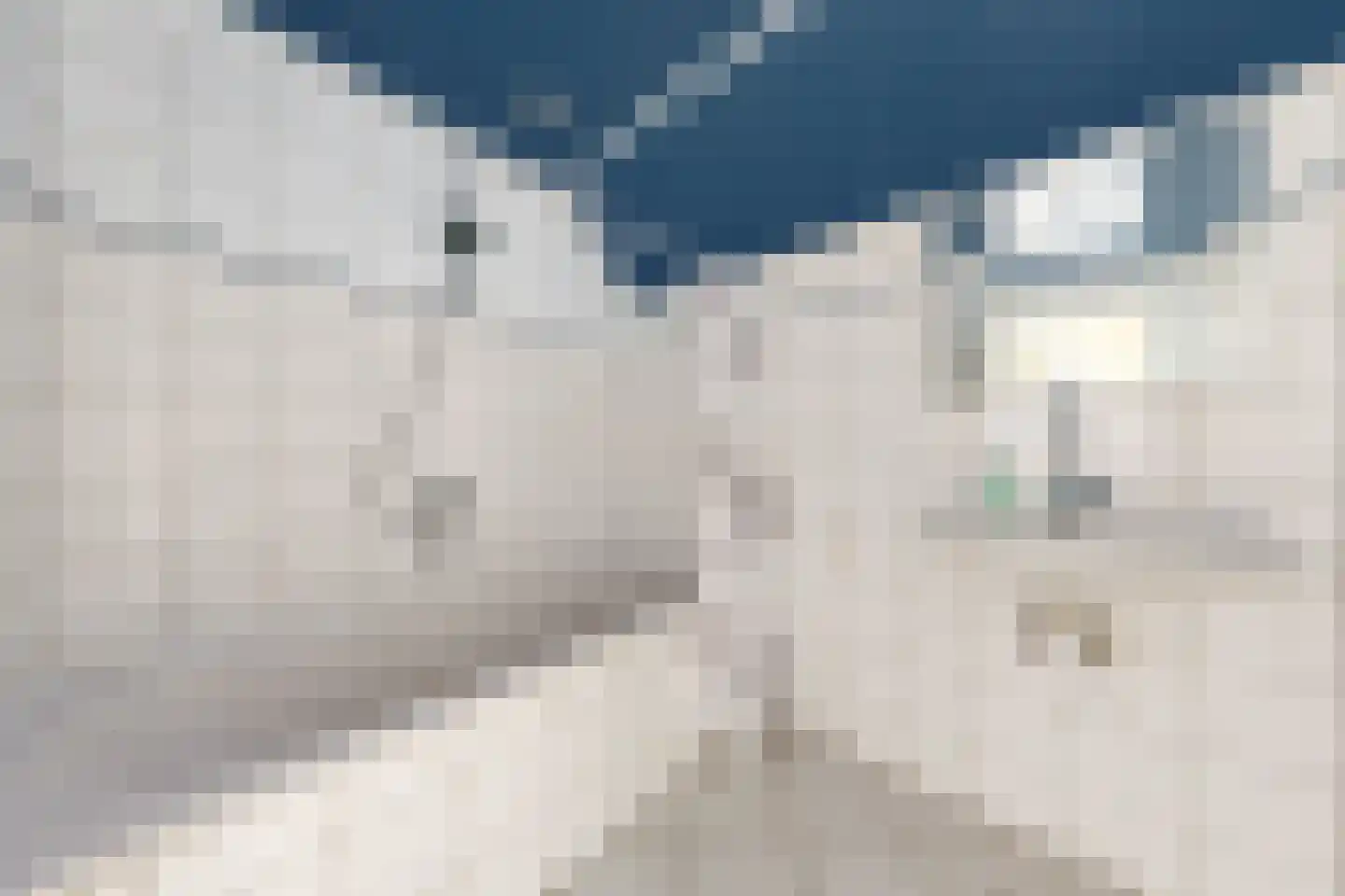 Dorpsplein 3 Beesd thumbnail 24