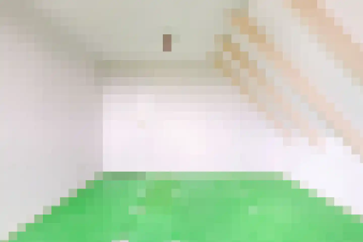 Dorpsplein 3 Beesd thumbnail 33