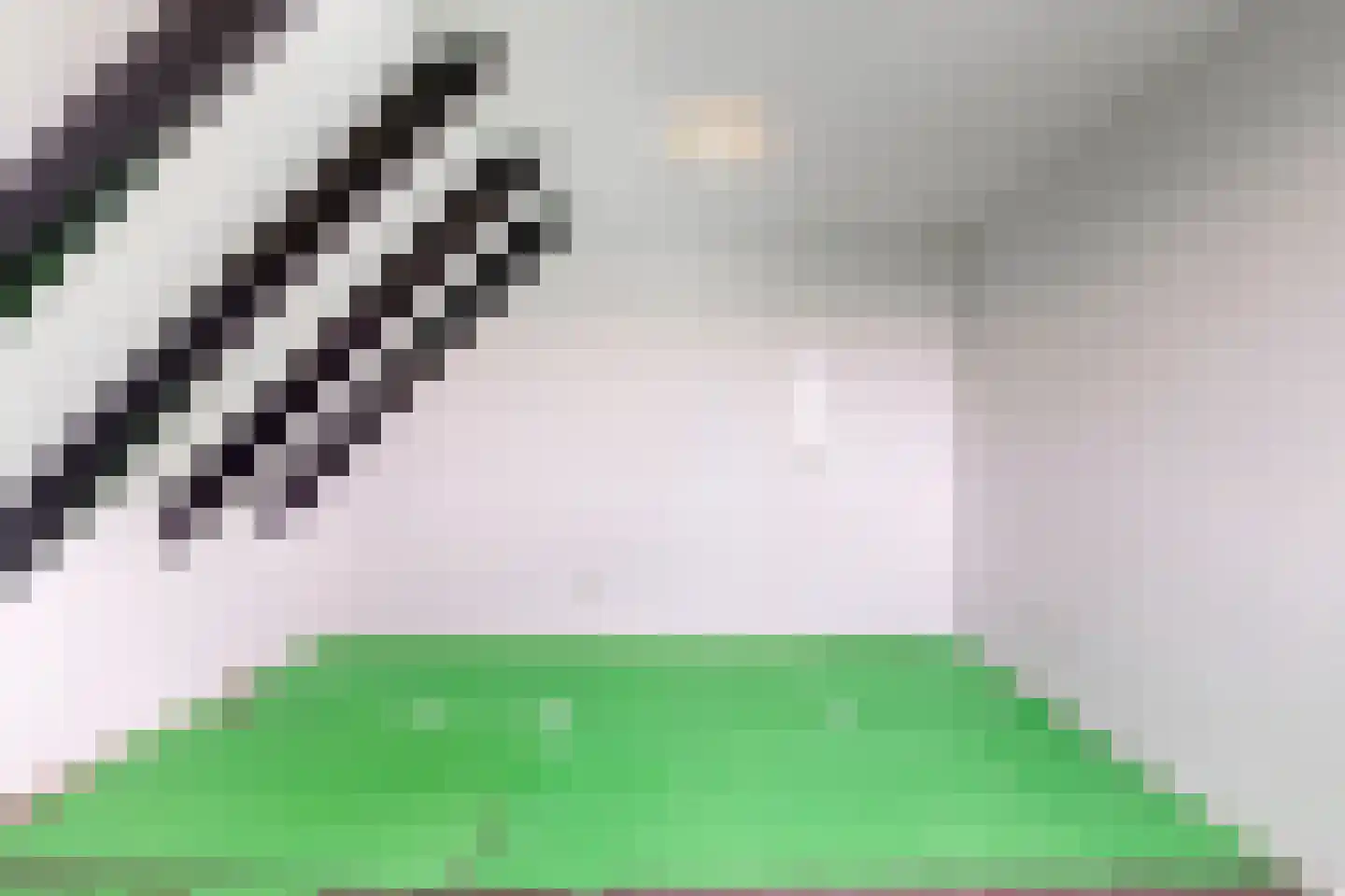 Dorpsplein 3 Beesd thumbnail 35