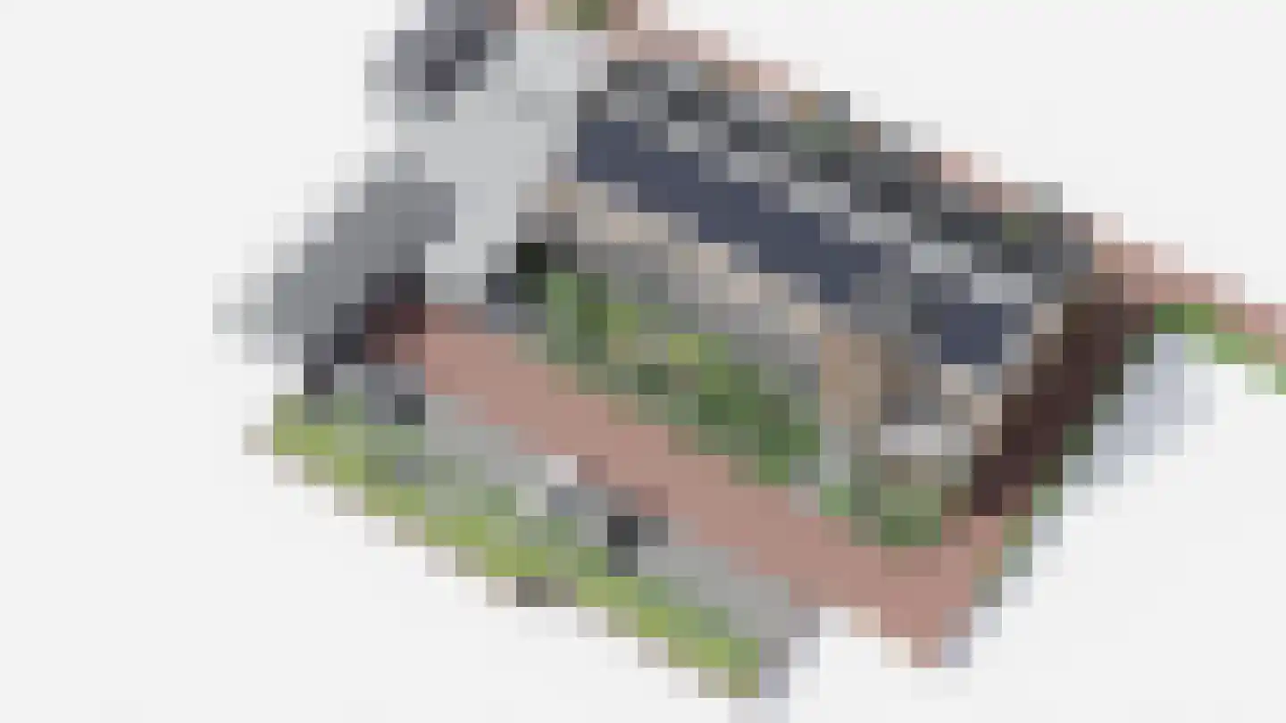 Dorpsplein 3 Wemeldinge thumbnail 4