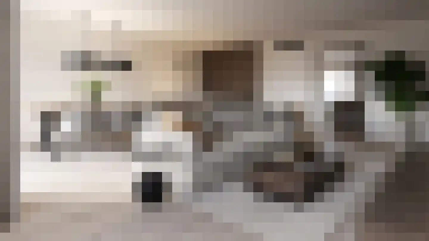 Dorpsplein 3 Wemeldinge thumbnail 5