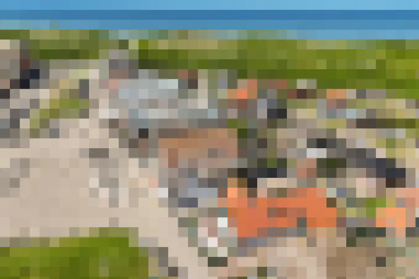 Dorpsplein 31 Callantsoog thumbnail 54