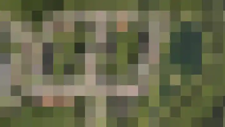 Dorpsplein 32 Wekerom thumbnail 4