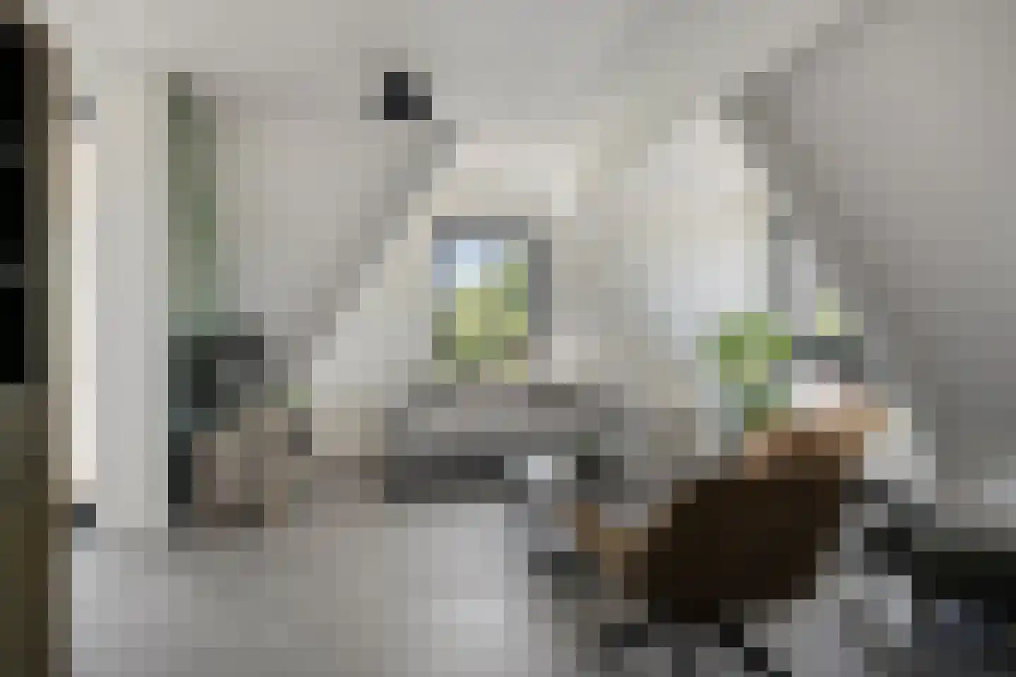 Dorpsplein 34 Wekerom thumbnail 23