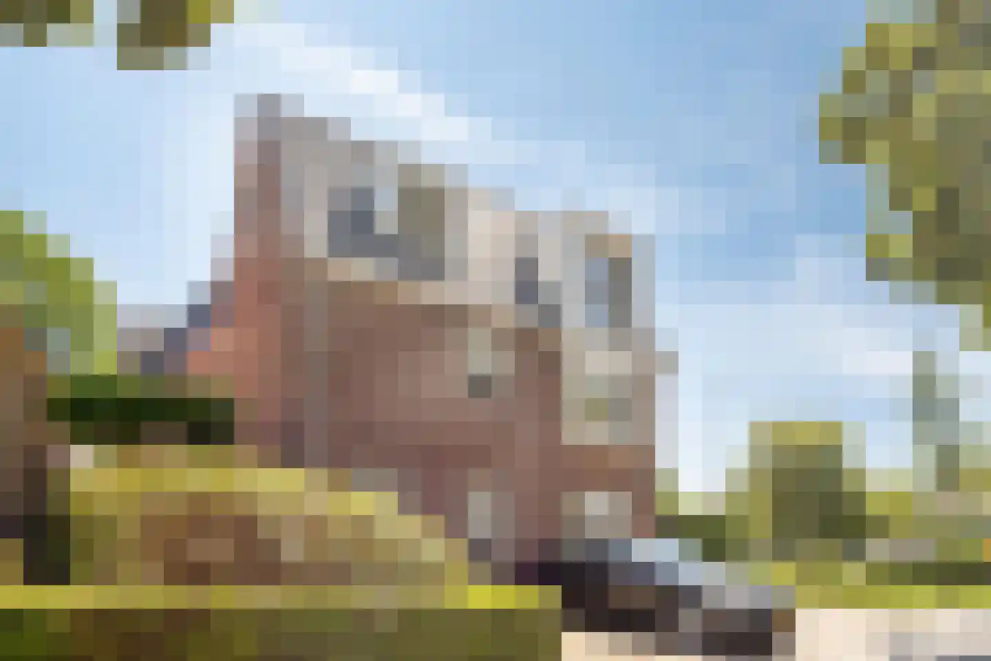 Dorpsplein 34 Wekerom thumbnail 9