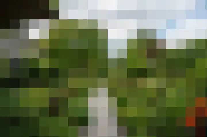 Dorpsplein 35 Nisse thumbnail 20