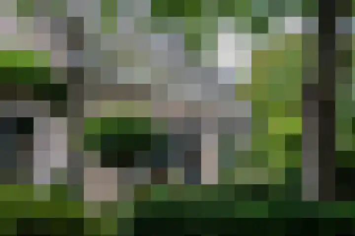 Dorpsplein 35 Nisse thumbnail 21