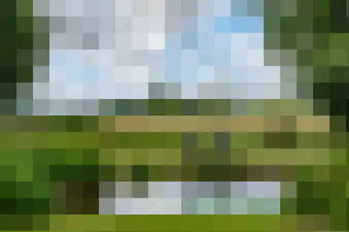 Dorpsplein 35 Nisse thumbnail 22