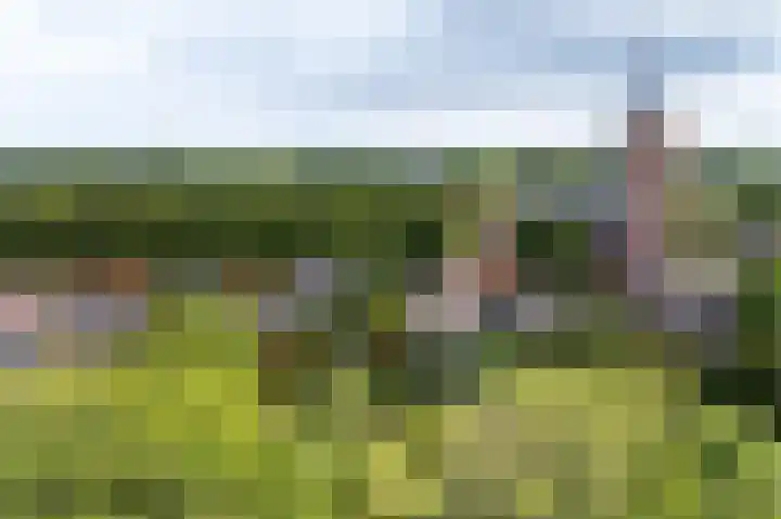 Dorpsplein 35 Nisse thumbnail 23