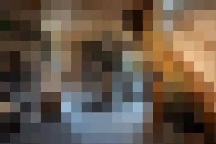 Dorpsplein 35 Nisse thumbnail 24