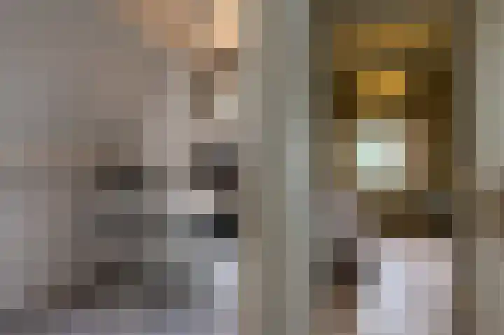 Dorpsplein 35 Nisse thumbnail 25