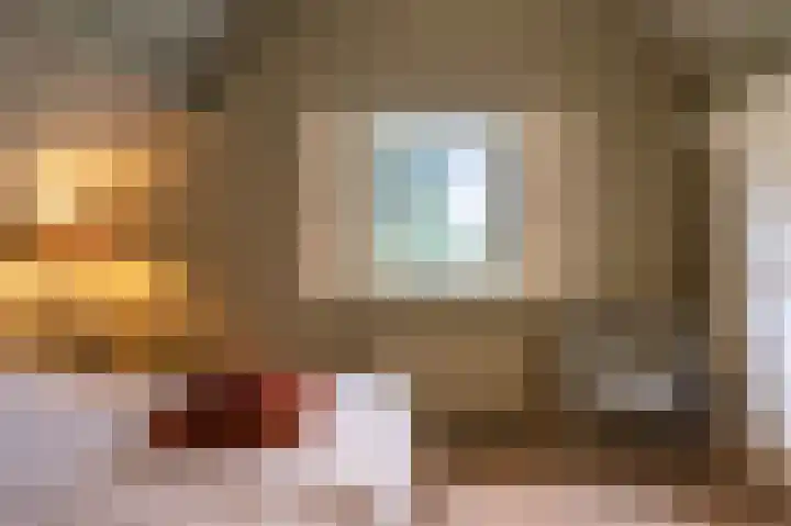 Dorpsplein 35 Nisse thumbnail 26