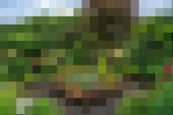 Dorpsplein 35 Nisse thumbnail 30