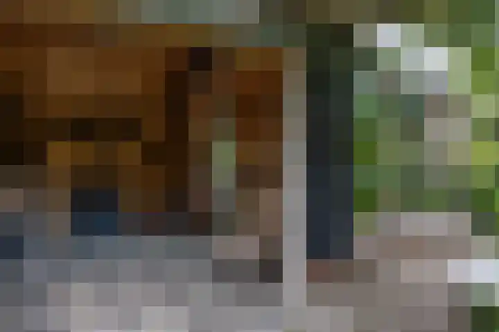 Dorpsplein 35 Nisse thumbnail 31