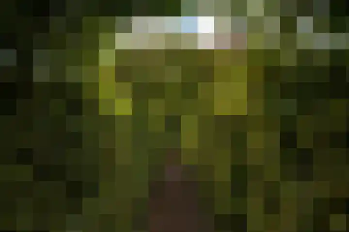 Dorpsplein 35 Nisse thumbnail 32