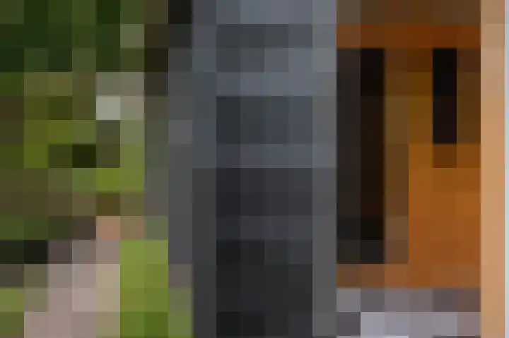 Dorpsplein 35 Nisse thumbnail 33