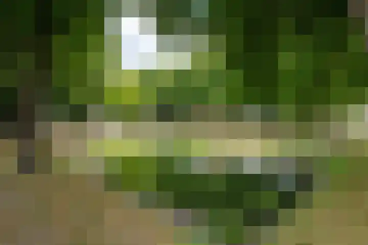 Dorpsplein 35 Nisse thumbnail 35