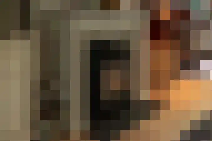 Dorpsplein 35 Nisse thumbnail 5