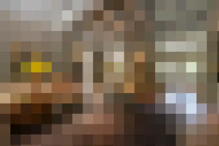 Dorpsplein 35 Nisse thumbnail 6
