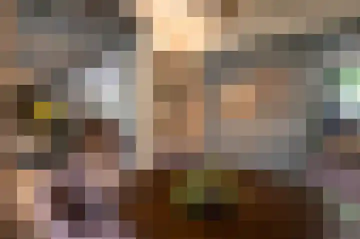 Dorpsplein 35 Nisse thumbnail 8