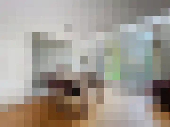 Dorpsplein 35 Schoondijke thumbnail 6