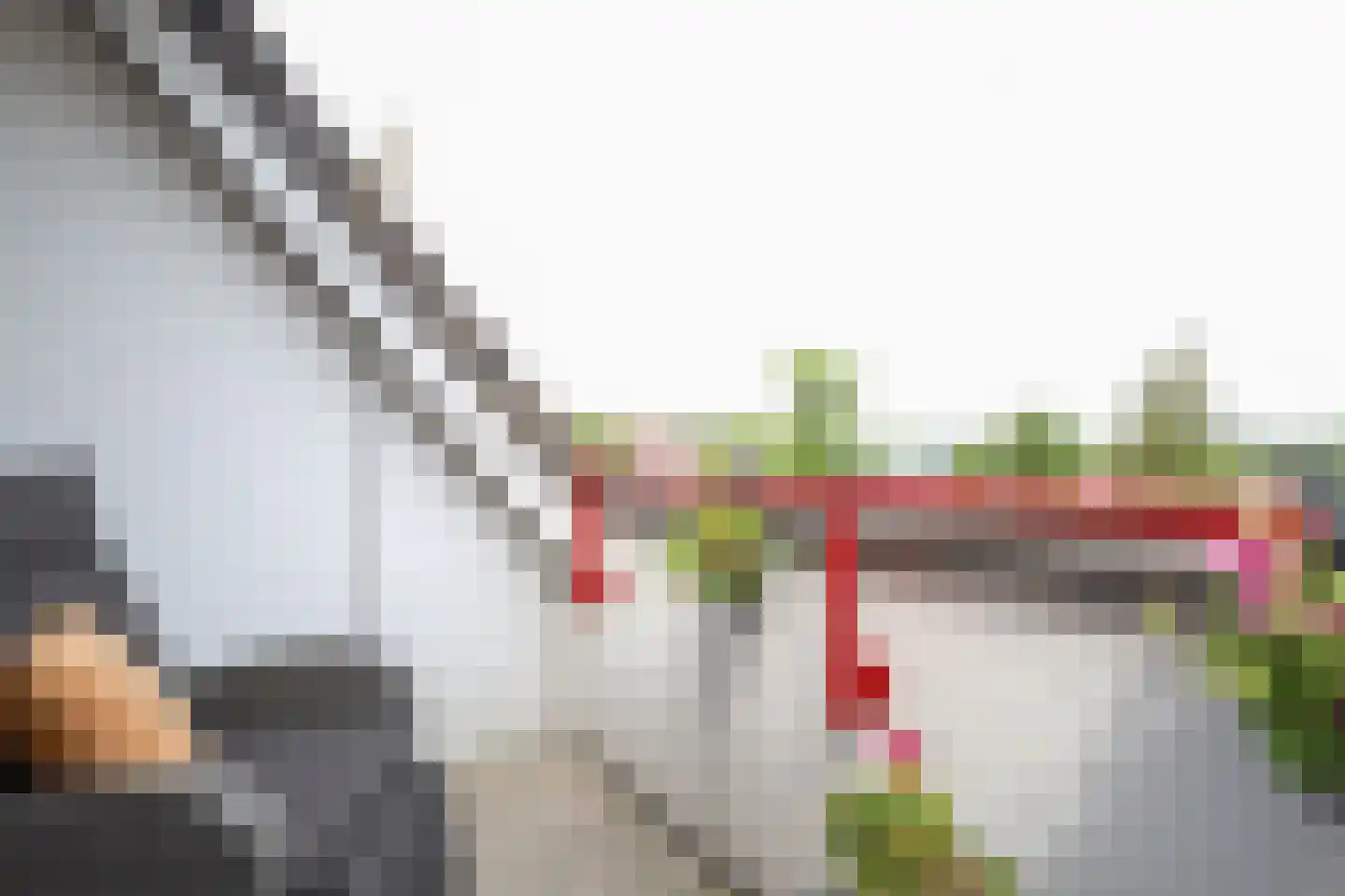 Dorpsplein 39 Rockanje thumbnail 21